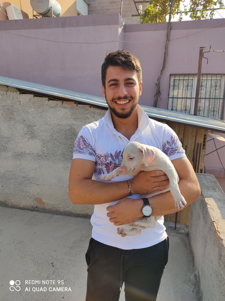 Gökhan