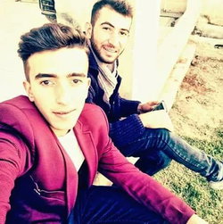 Şahin