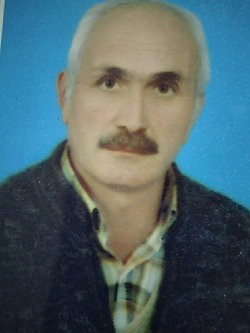 Halis