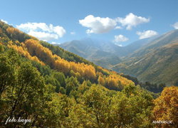 Mehmetnuri