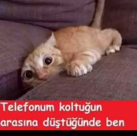Melek