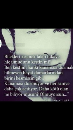 Regaip