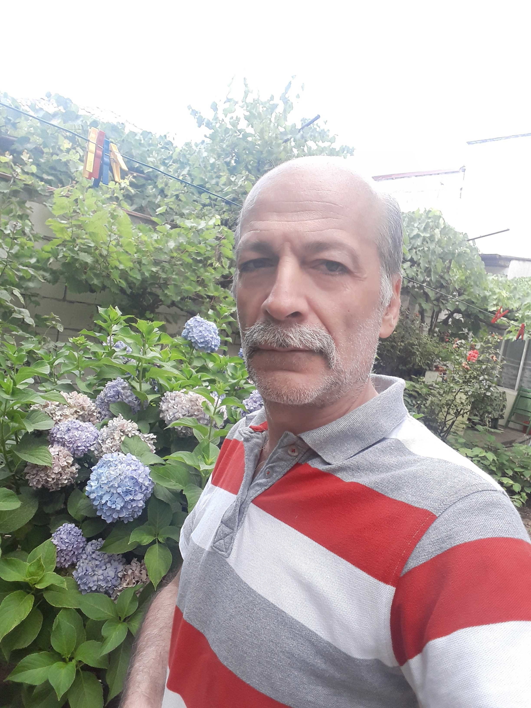Serhat