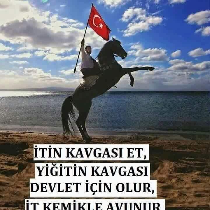 Süleyman
