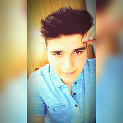 Soner
