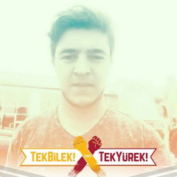 Veysi