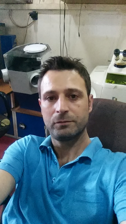 Alper