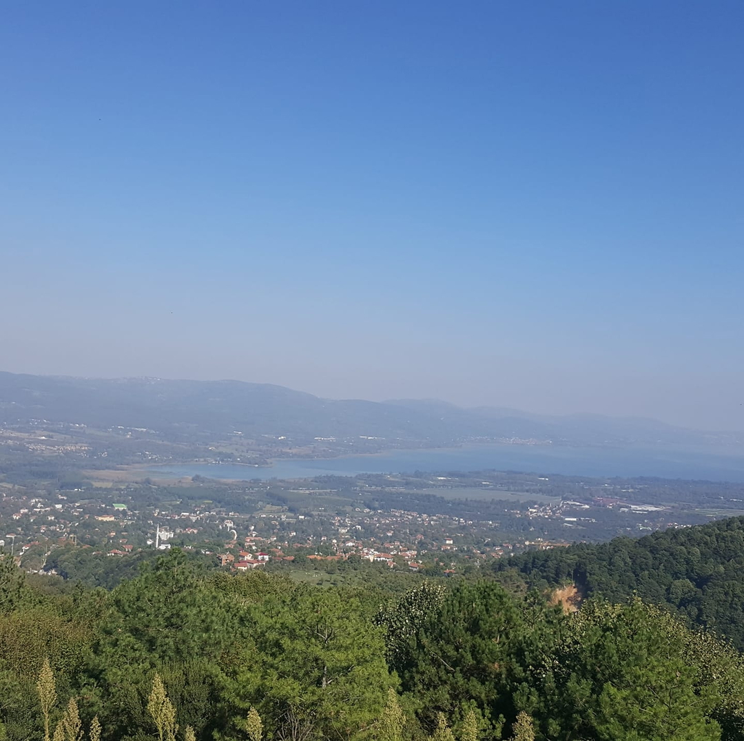 Süleyman