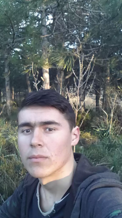 Vazir