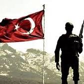 Şahin