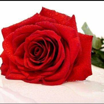 Flor