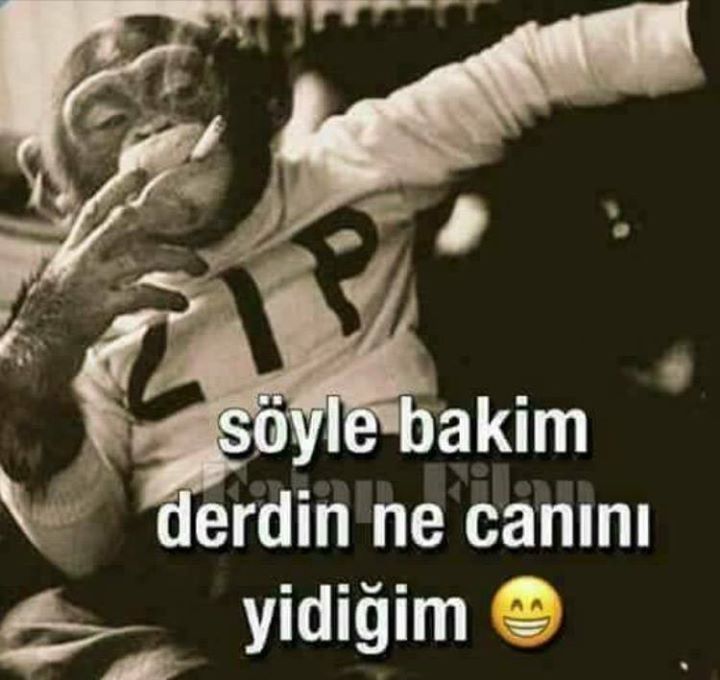 Gönül