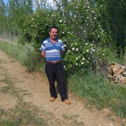 Mustafa