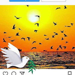Ümit