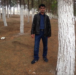 Ali