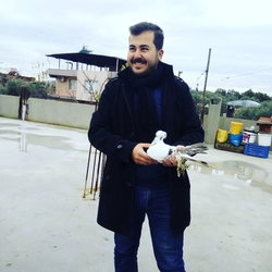 Tahsin