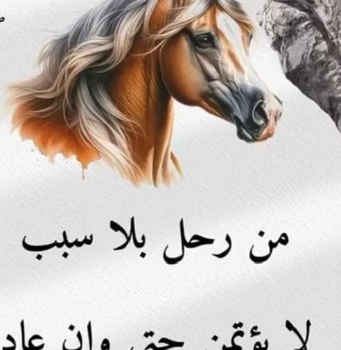 ابو
