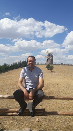 Ergin