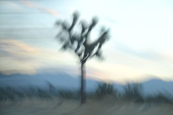 Ola