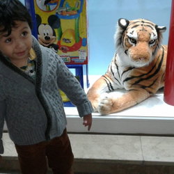 Mustafa