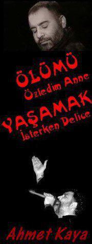 Mslm