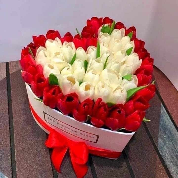 Aysegul