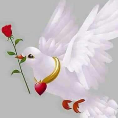 احمد