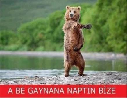 Mert