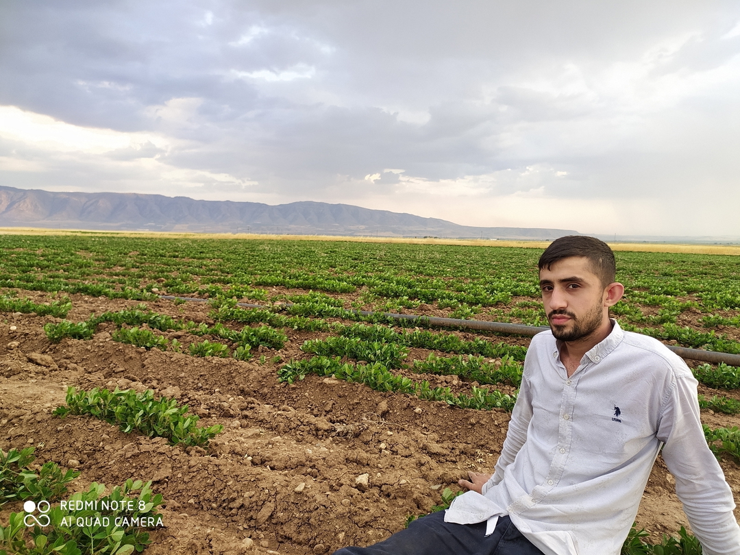 Serdar