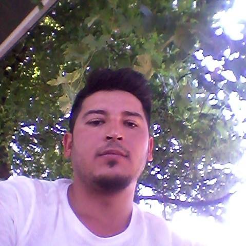Çınar