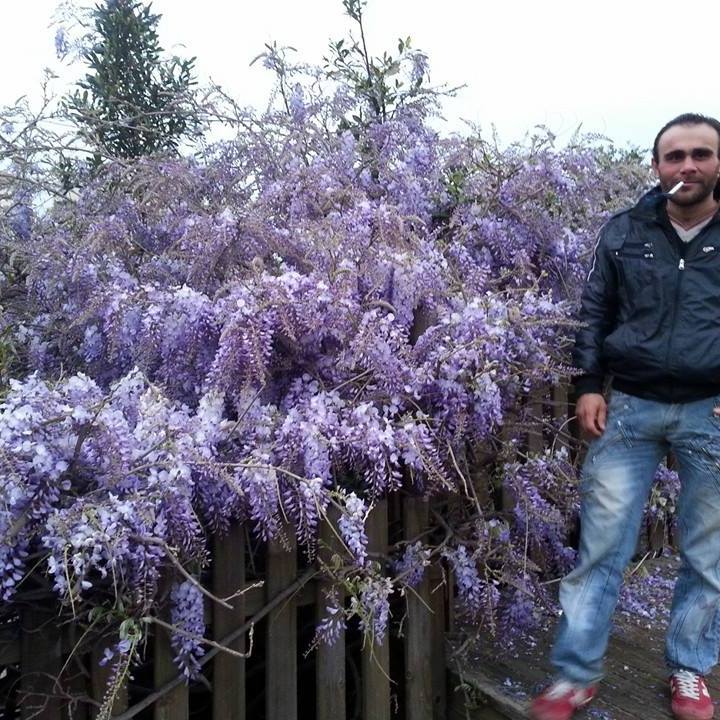 Ayhan