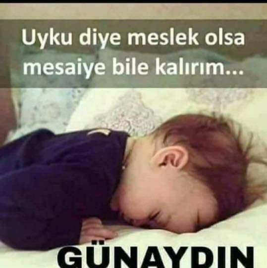 Menekşe