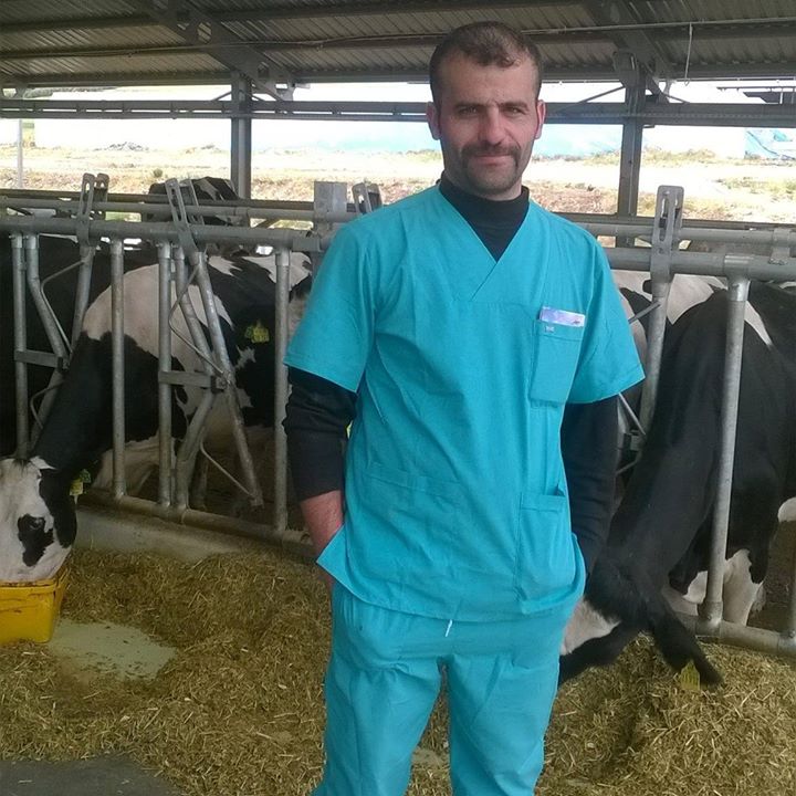 Halil
