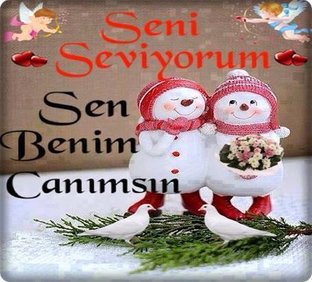 Pamuk