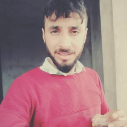 Ş'ahin
