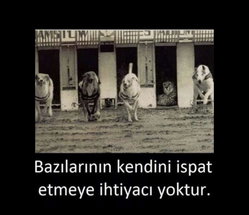 Funda