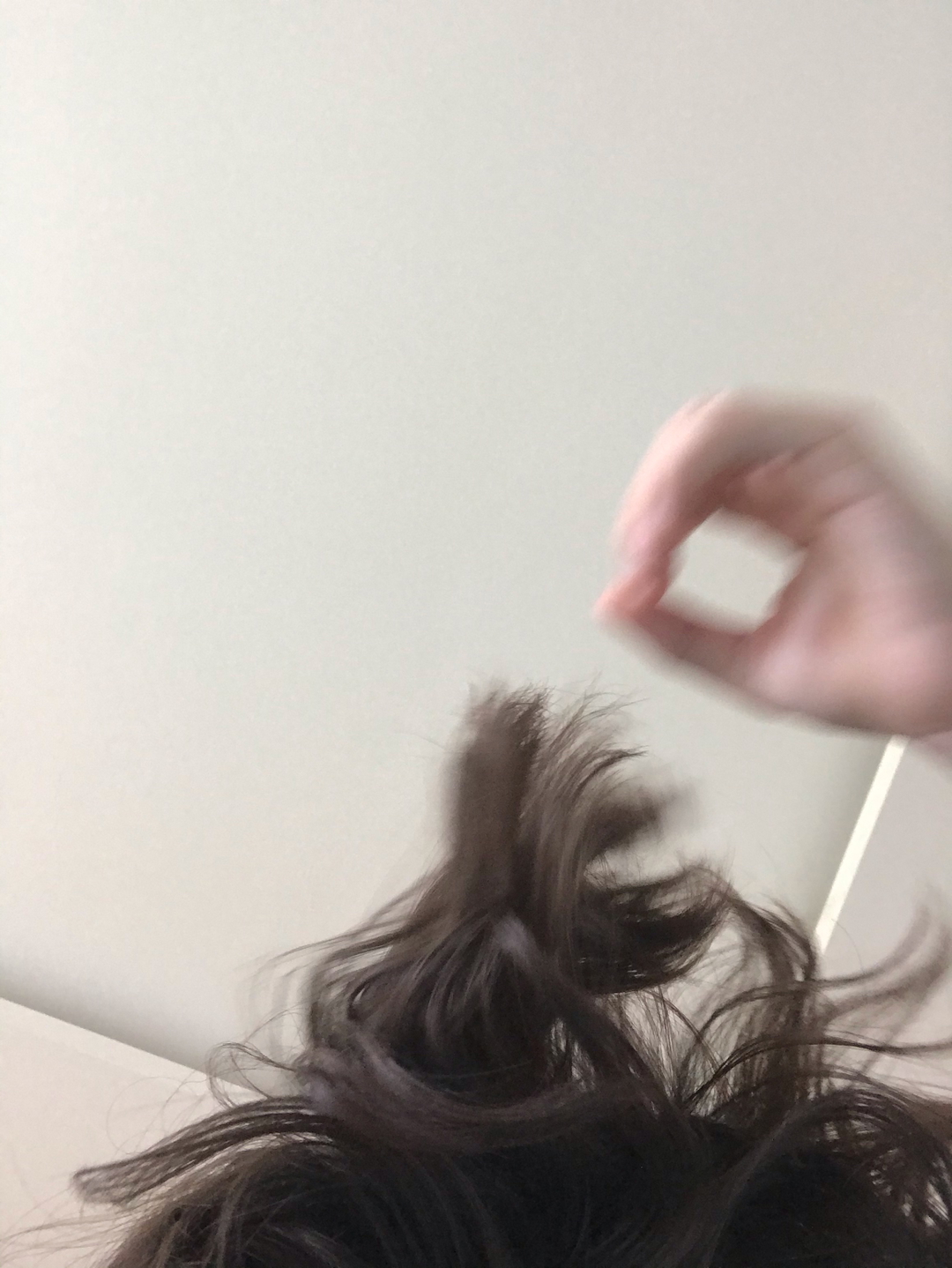 Zencefil