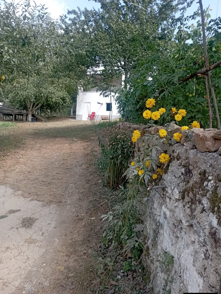 Kardelen