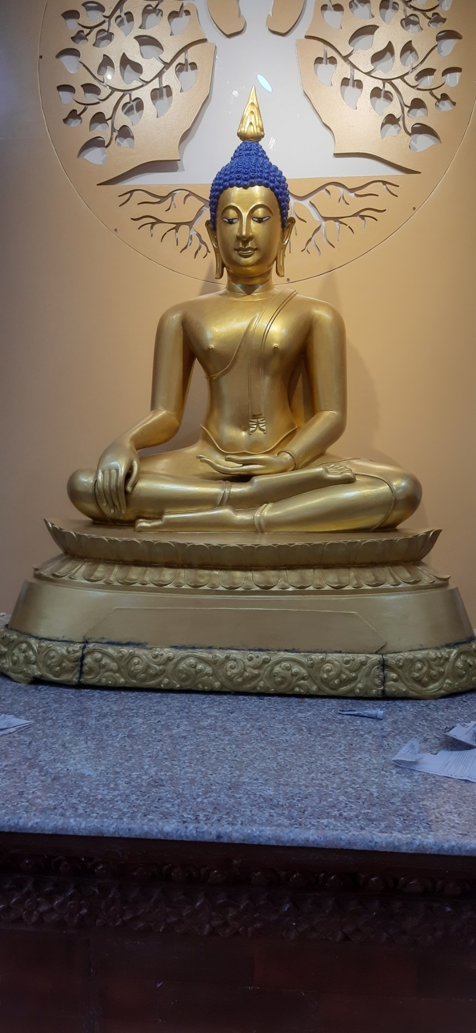 Shakya