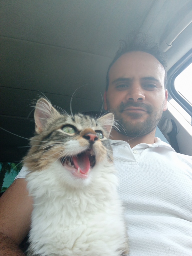 Ercan