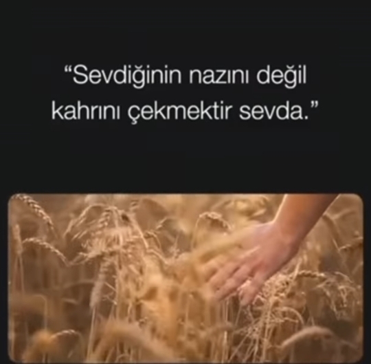 Selim