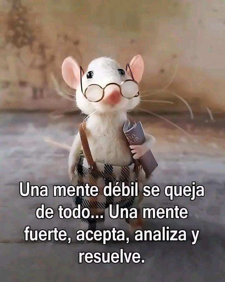 Rudy