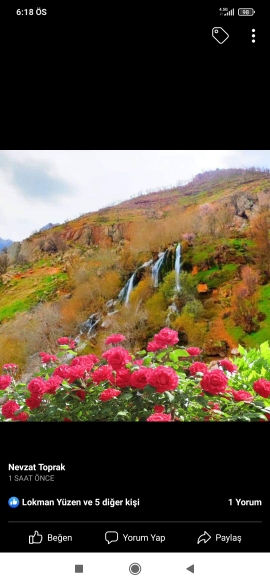 Baki