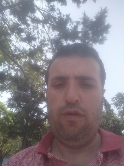 Mert