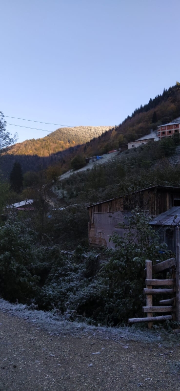 Ayhan