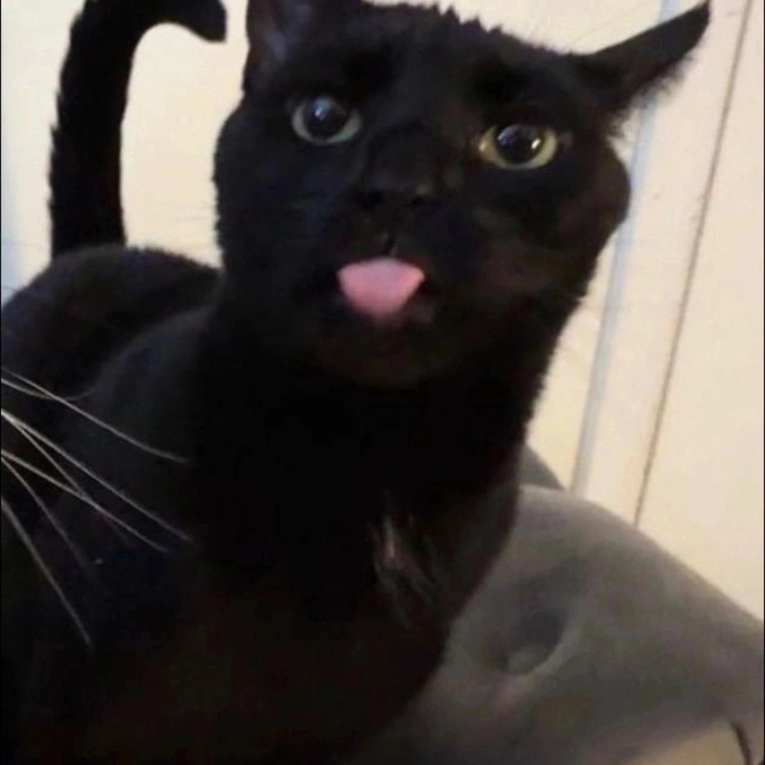 Francisco