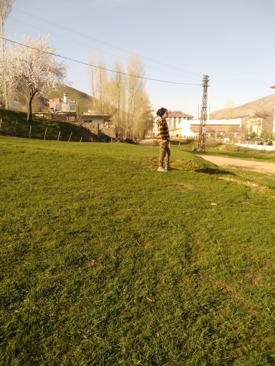 Menekşe