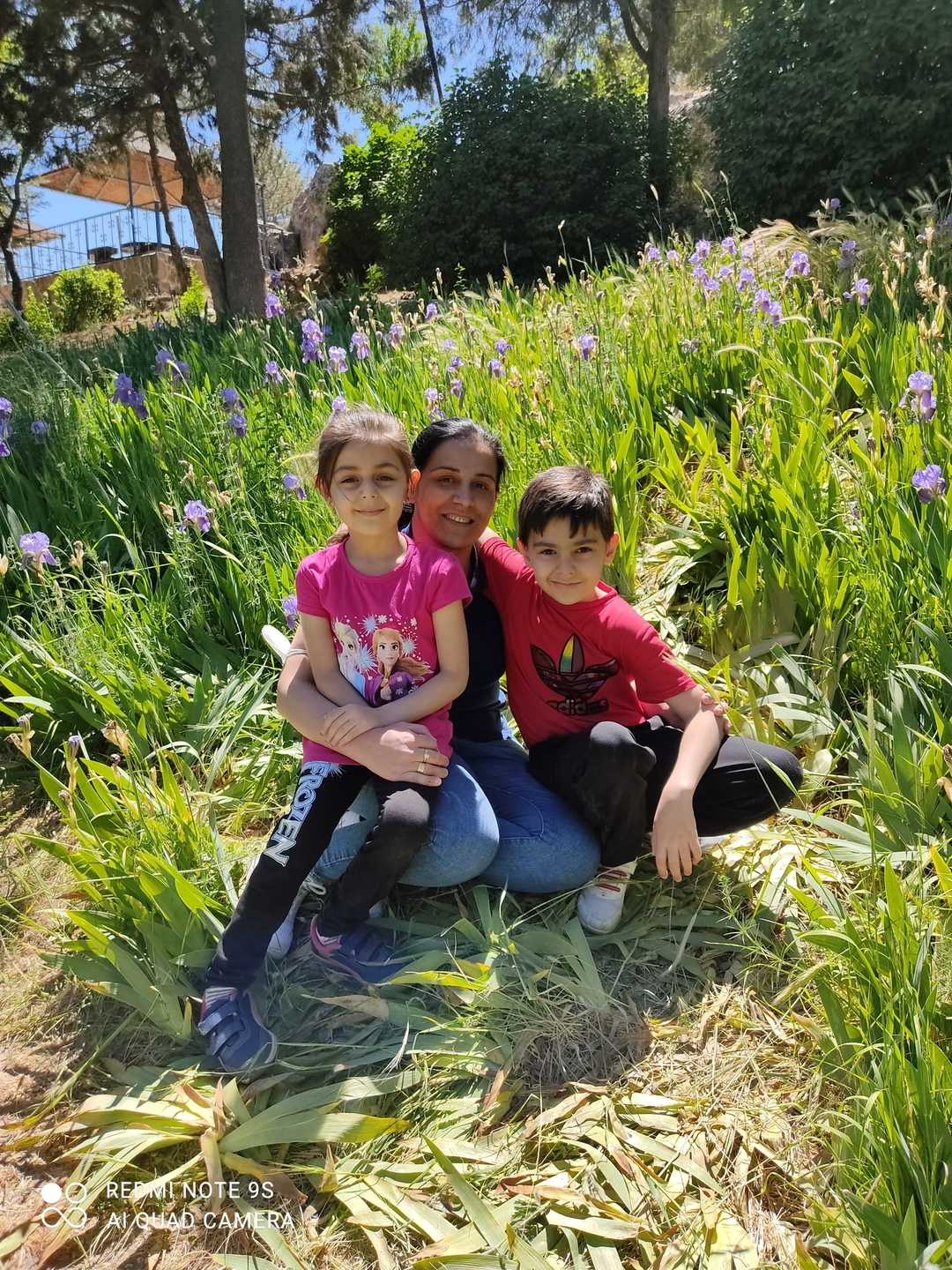 Sergul