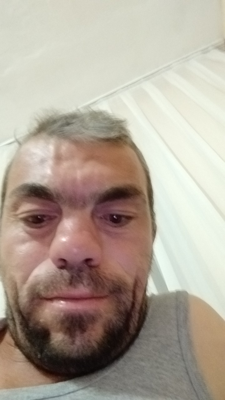 Mahmut