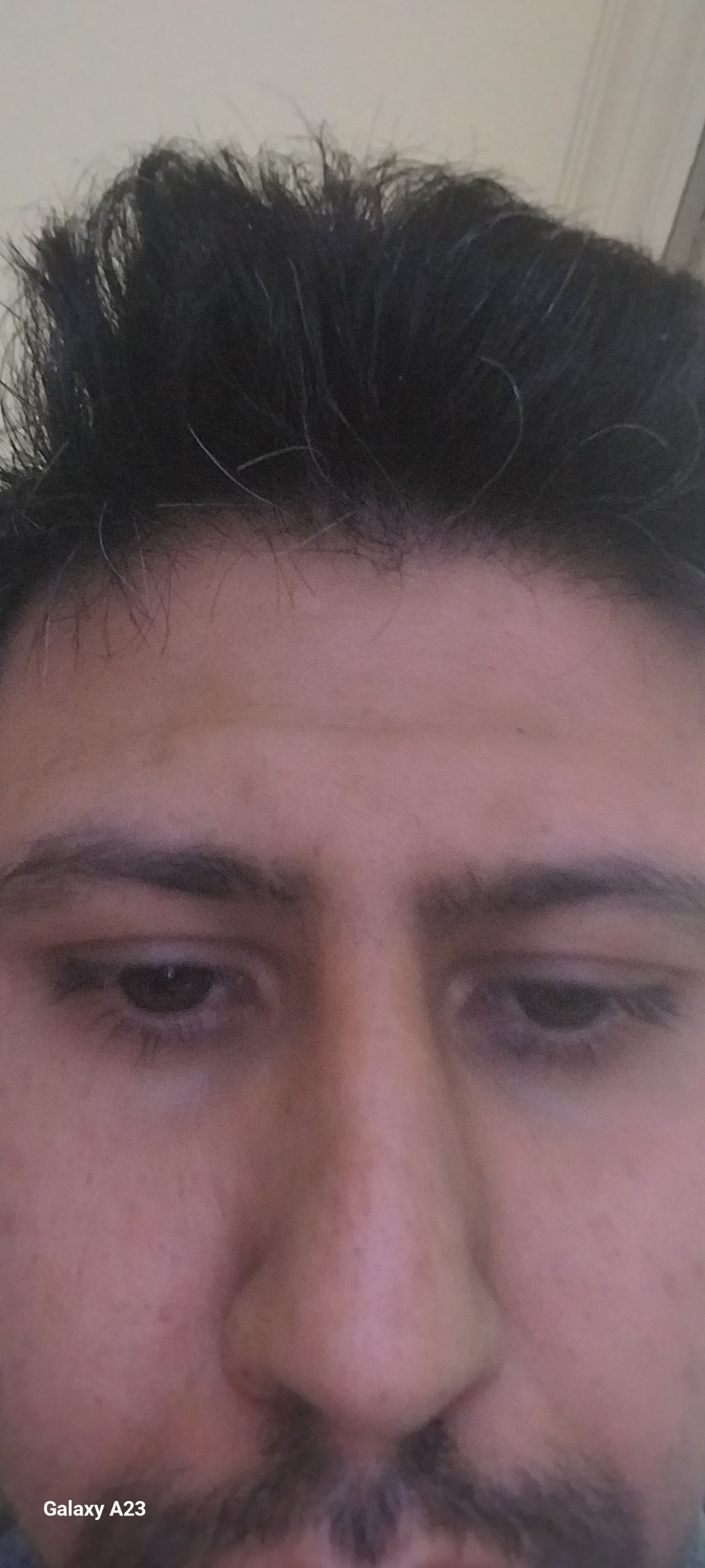 Oğuz